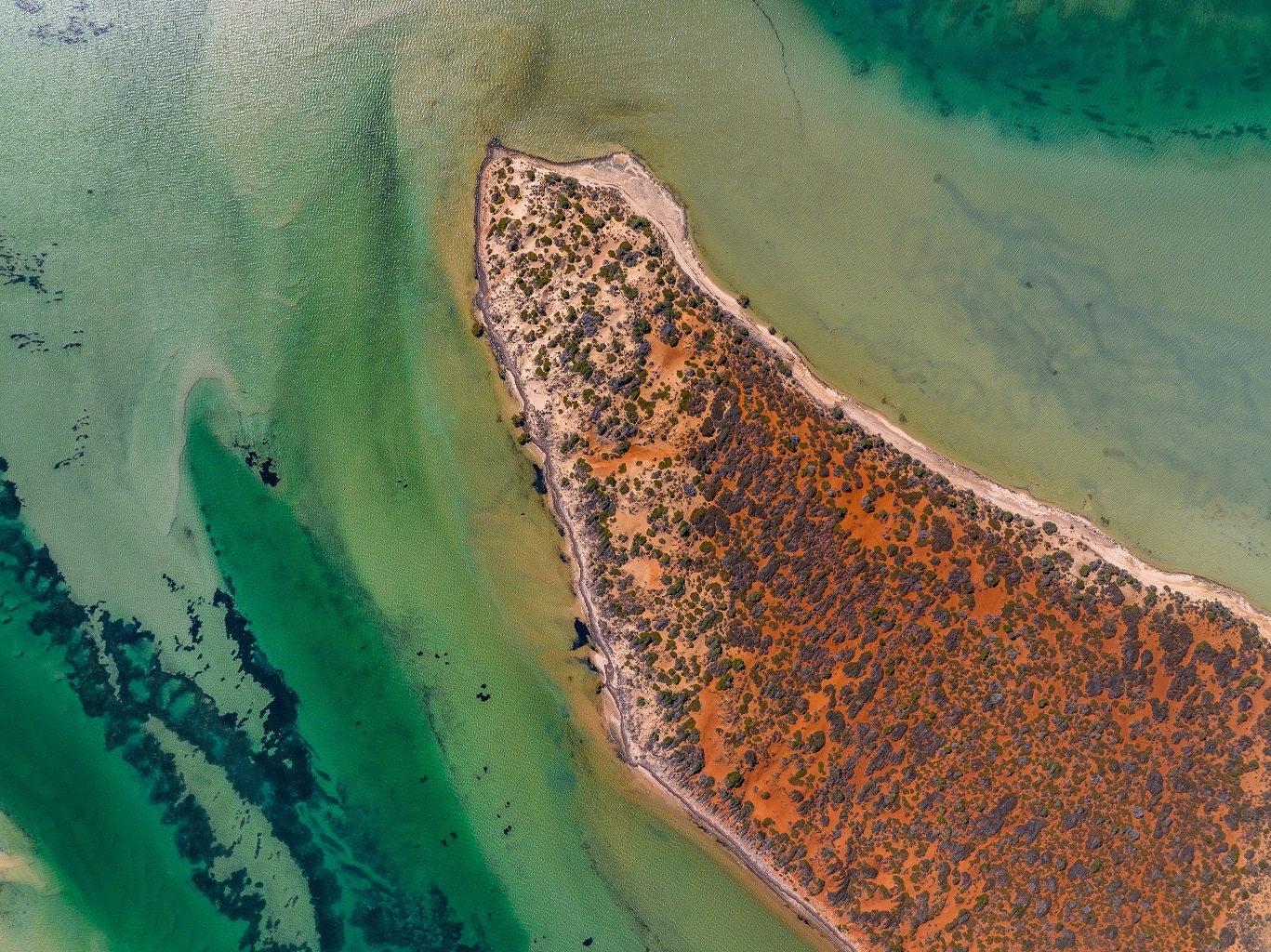 Climate Action 100+ flagged resolutions - 2024 proxy season