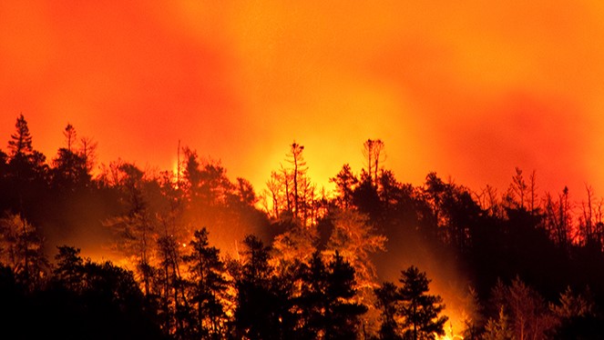 IIGCC members representing USD 10 trillion in assets set out their expectations of companies on tackling physical climate risks