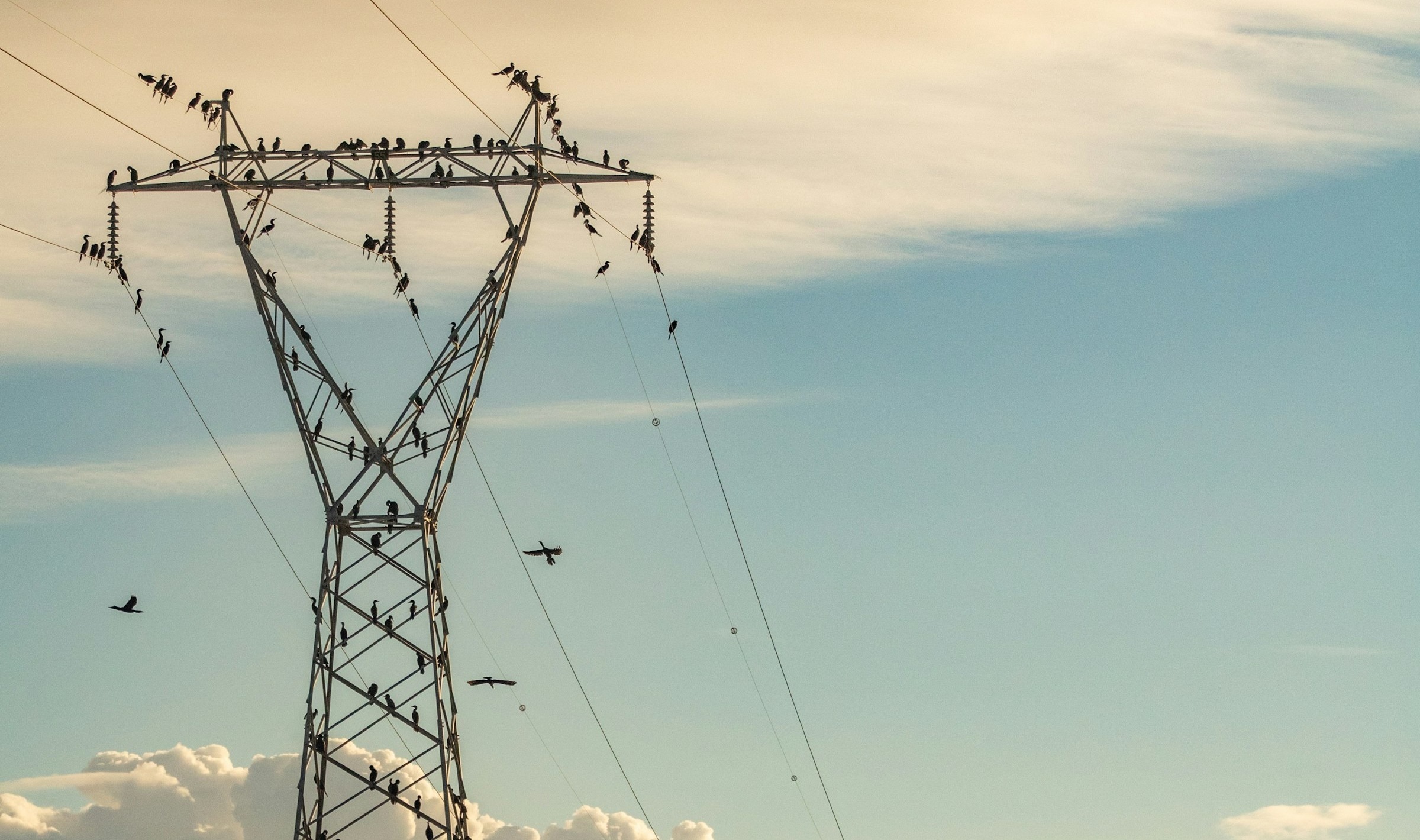 Grids: Primer & Tool for engagement