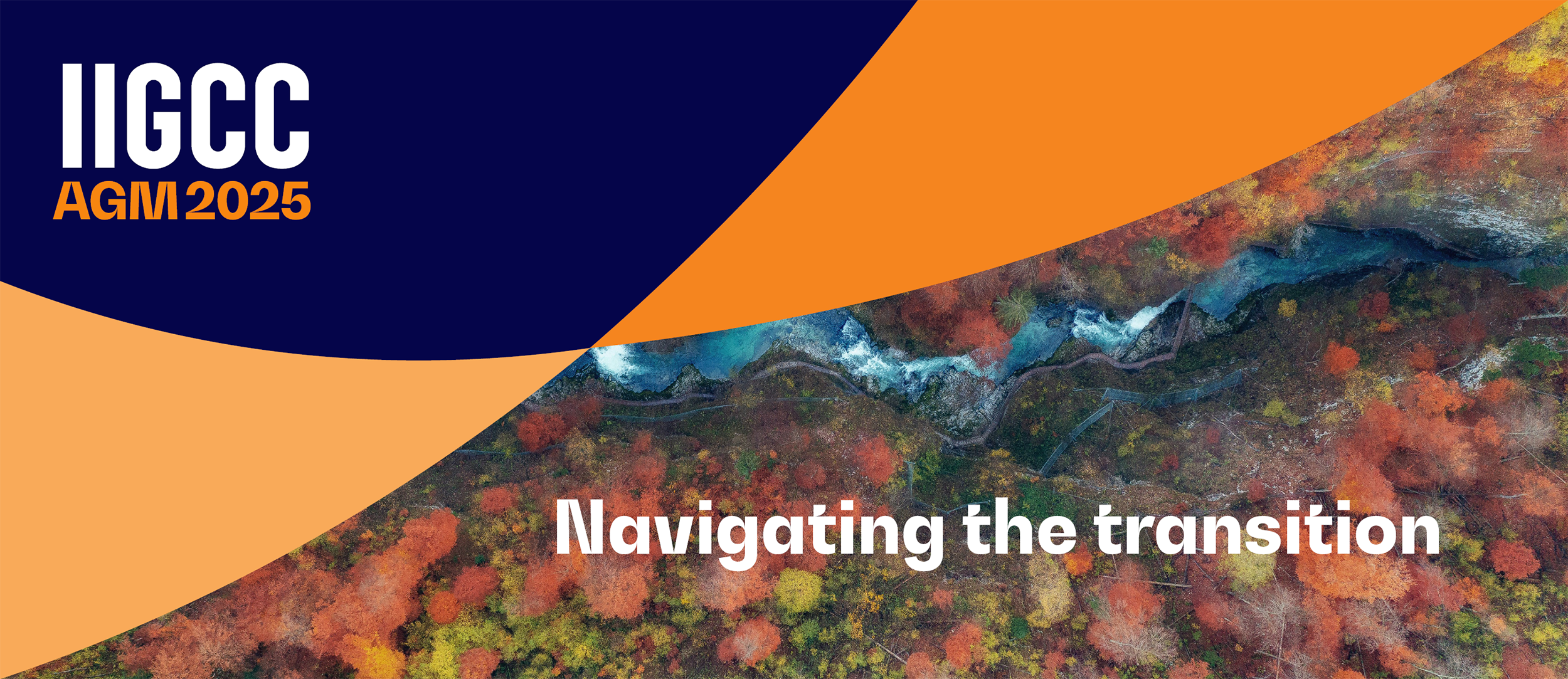 IIGCC AGM 2025: Navigating the transition