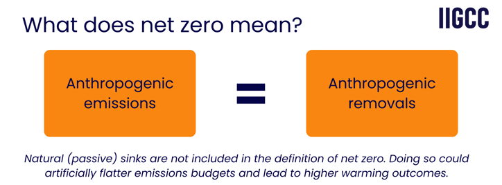 What does net zero mean (5)