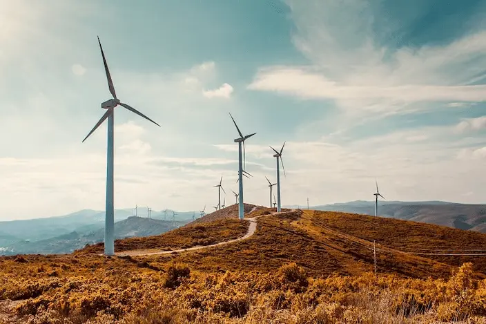 Asset Owner Stewardship Questionnaire